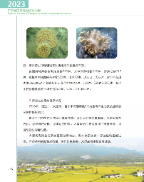 《2023年广东省生态环境状况公报》发布！(图17)