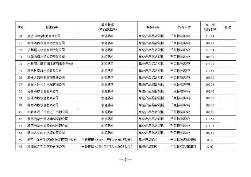 湖南省重点领域企业能效水平清单目录公示(图6)