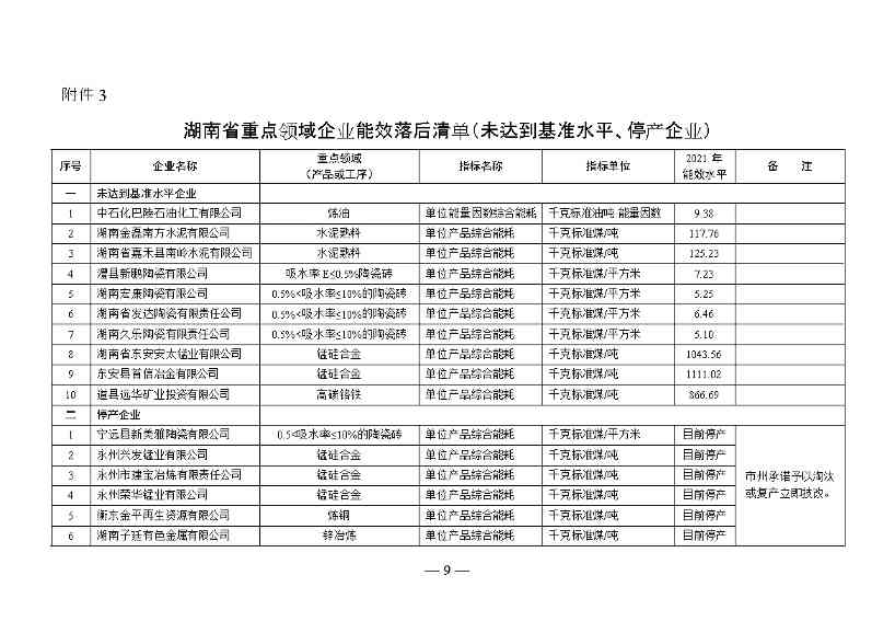 湖南省重点领域企业能效水平清单目录公示(图9)