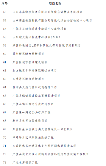 东营市公布2023年市重点项目名单！含碳捕集工程、海上风电项目等多个节能降碳项目！(图4)