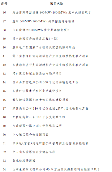 东营市公布2023年市重点项目名单！含碳捕集工程、海上风电项目等多个节能降碳项目！(图3)