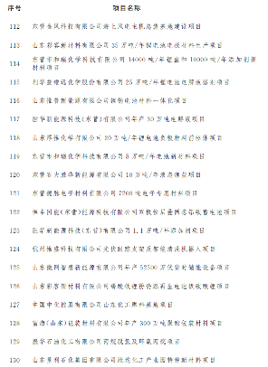 东营市公布2023年市重点项目名单！含碳捕集工程、海上风电项目等多个节能降碳项目！(图7)
