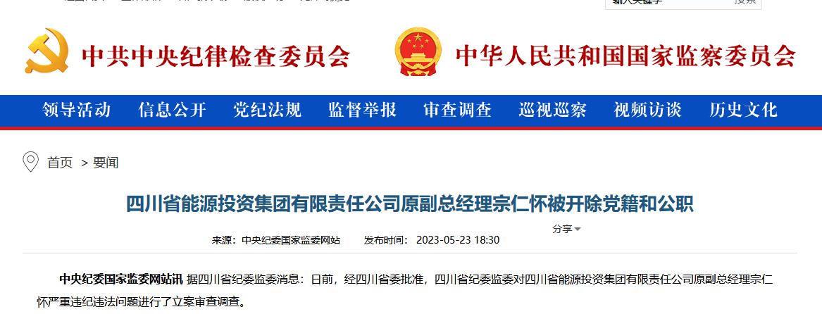 四川省能源投资集团有限责任公司原副总经理宗仁怀被开除党籍和公职