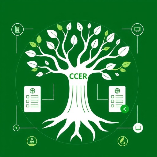 旧有CCER注册登记账户和交易账户开立指引（6.0 版）