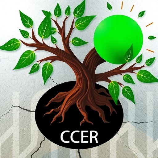 CCER正式重启！生态环境部公布《温室气体自愿减排交易管理办法（试行）》(图2)