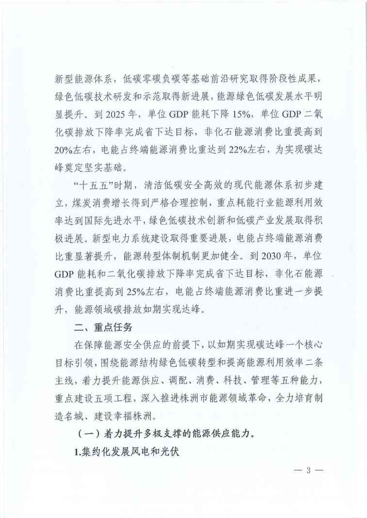 《株洲市能源领域碳达峰实施方案》印发！(图3)