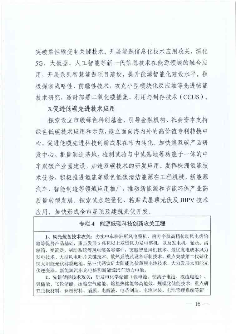 《株洲市能源领域碳达峰实施方案》印发！(图16)