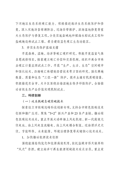 《国家碳达峰试点（盐城）实施方案》发布(图20)